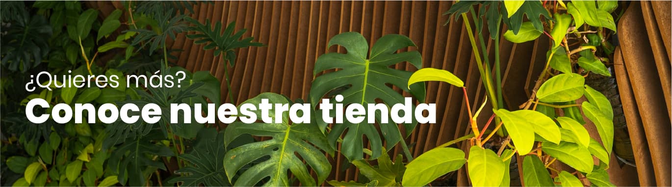 Shop banner